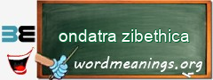 WordMeaning blackboard for ondatra zibethica